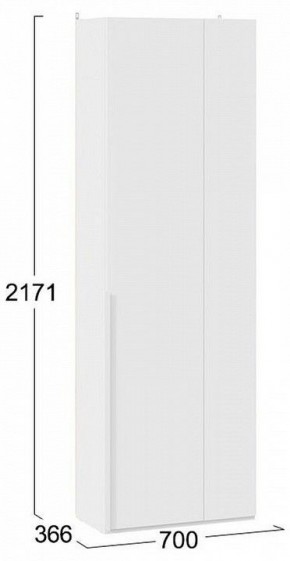 Шкаф платяной Порто СМ-393.07.231 в Невьянске - nevyansk.mebel24.online | фото 8