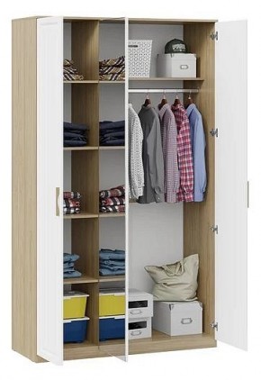 Шкаф платяной Сэнди в Невьянске - nevyansk.mebel24.online | фото 3