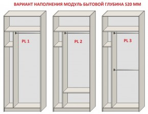 Шкаф распашной серия «ЗЕВС» (PL3/С1/PL2) Серый камень/Небраска натуральный в Невьянске - nevyansk.mebel24.online | фото 5