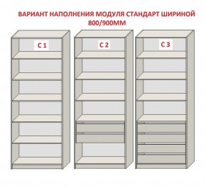 Шкаф распашной серия «ЗЕВС» (PL3/С1/PL2) Серый камень/Небраска натуральный в Невьянске - nevyansk.mebel24.online | фото 6