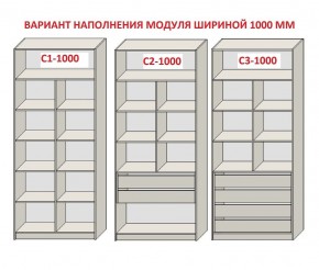 Шкаф распашной серия «ЗЕВС» (PL3/С1/PL2) Серый камень/Небраска натуральный в Невьянске - nevyansk.mebel24.online | фото 7