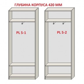 Шкаф распашной серия «ЗЕВС» (PL3/С1/PL2) Серый камень/Небраска натуральный в Невьянске - nevyansk.mebel24.online | фото 8