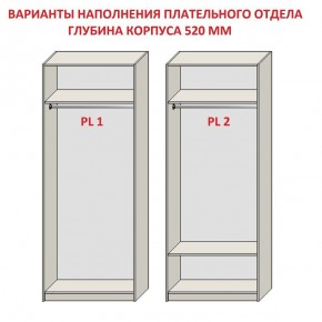 Шкаф распашной серия «ЗЕВС» (PL3/С1/PL2) Серый камень/Небраска натуральный в Невьянске - nevyansk.mebel24.online | фото 9