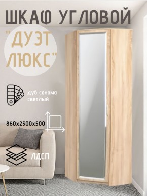 Шкаф угловой Дуэт Люкс с зеркалом в Невьянске - nevyansk.mebel24.online | фото 1
