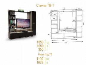 Стенка для гостиной ТВ-1 в Невьянске - nevyansk.mebel24.online | фото 2