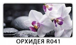 Стол раздвижной Бриз лайм R156 K-1 в Невьянске - nevyansk.mebel24.online | фото 18