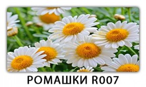 Стол раздвижной Трилогия с фотопечатью Кофе R012 в Невьянске - nevyansk.mebel24.online | фото 15