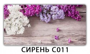 Стол раздвижной Трилогия с фотопечатью Кофе R012 в Невьянске - nevyansk.mebel24.online | фото 16