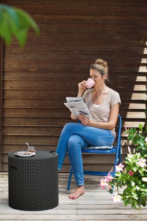 Столик-холодильник Кул-Стул (Cool stool) графит в Невьянске - nevyansk.mebel24.online | фото 1