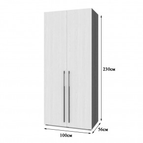 СТОУН С21 Шкаф 2-х створчатый (камень темный/ирландский дуб) в Невьянске - nevyansk.mebel24.online | фото 2