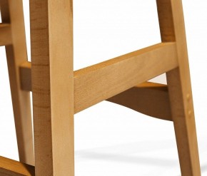 Стул обеденный SHT-ST29/S65-1 в Невьянске - nevyansk.mebel24.online | фото 5