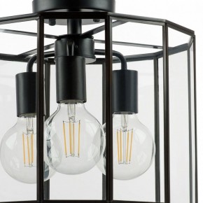 Светильник на штанге Lightstar Genni 798237 в Невьянске - nevyansk.mebel24.online | фото 4