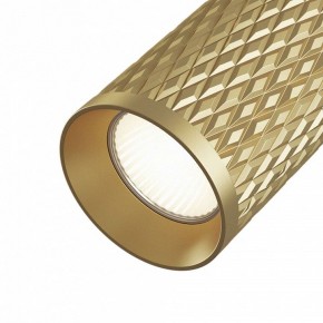 Светильник на штанге Maytoni Focus Design TR011-1-GU10-G в Невьянске - nevyansk.mebel24.online | фото 3