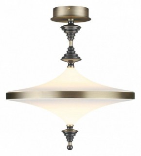 Светильник на штанге Odeon Light Ula 5404/43CL в Невьянске - nevyansk.mebel24.online | фото 2