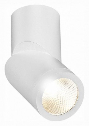 Светильник на штанге ST-Luce ST650 ST650.532.10 в Невьянске - nevyansk.mebel24.online | фото 3