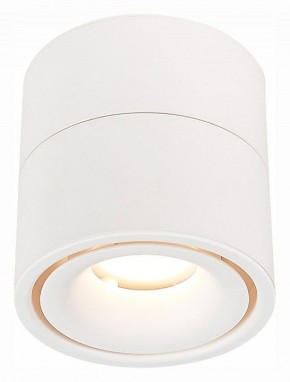 Светильник на штанге ST-Luce ST652 ST652.532.12 в Невьянске - nevyansk.mebel24.online | фото 2