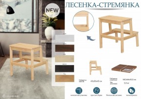 Табурет Стремянка в Невьянске - nevyansk.mebel24.online | фото 6
