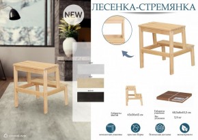 Табурет Стремянка в Невьянске - nevyansk.mebel24.online | фото 4