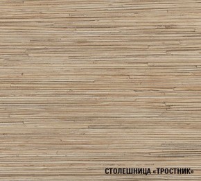ТОМИЛЛА Кухонный гарнитур Стандарт 4 (1600 мм ) в Невьянске - nevyansk.mebel24.online | фото 6