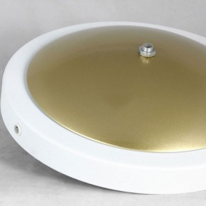 Торшер Lussole LSP-062 LSP-0625 в Невьянске - nevyansk.mebel24.online | фото 2