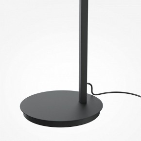 Торшер Maytoni Emphaty MOD363FL-L14B3K в Невьянске - nevyansk.mebel24.online | фото 5
