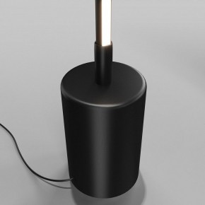 Торшер Maytoni Flow MOD147FL-L20BK1 в Невьянске - nevyansk.mebel24.online | фото 4