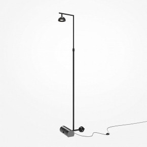 Торшер Maytoni Pikant MOD372FL-L10B3K в Невьянске - nevyansk.mebel24.online | фото 2