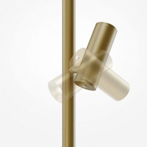 Торшер Maytoni Thin MOD395FL-L28BS3K в Невьянске - nevyansk.mebel24.online | фото 6