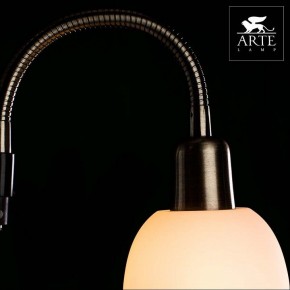 Торшер с подсветкой Arte Lamp Duetto A9569PN-2AB в Невьянске - nevyansk.mebel24.online | фото 4