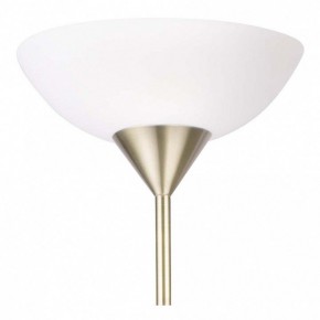 Торшер с подсветкой Arte Lamp Duetto A9569PN-2AB в Невьянске - nevyansk.mebel24.online | фото 5