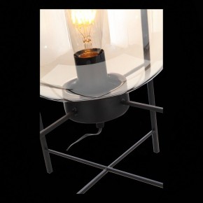Торшер ST-Luce Burasca SL1050.505.01 в Невьянске - nevyansk.mebel24.online | фото 9