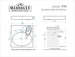 Умывальник над стиральной машиной (600*545*80) Смайл V55D1 (белый) с кронштейном без сифона (V55D1) в Невьянске - nevyansk.mebel24.online | фото 2