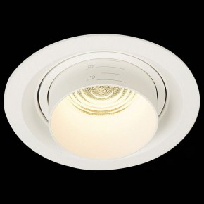 Встраиваемый светильник ST-Luce Zoom ST701.538.12 в Невьянске - nevyansk.mebel24.online | фото 4