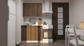 ЯНА Кухонный гарнитур Мини (1000 мм) в Невьянске - nevyansk.mebel24.online | фото